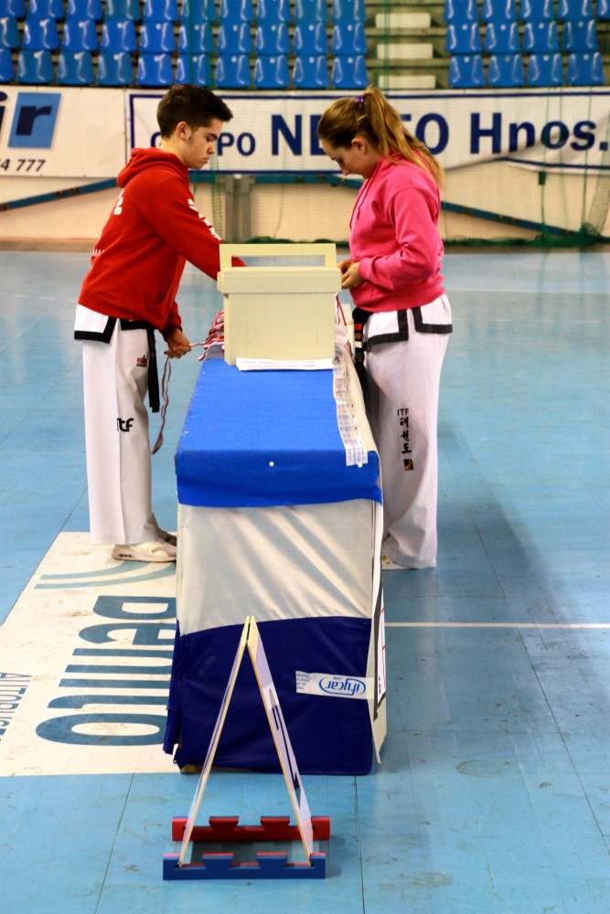 Taekwondo Dic 2016 (9).jpg